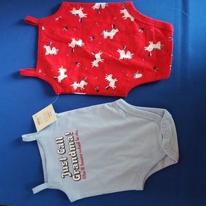 Baby girl set of two onesies